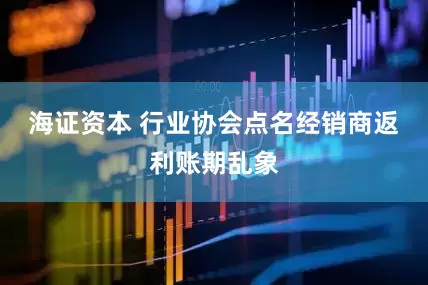海证资本 行业协会点名经销商返利账期乱象