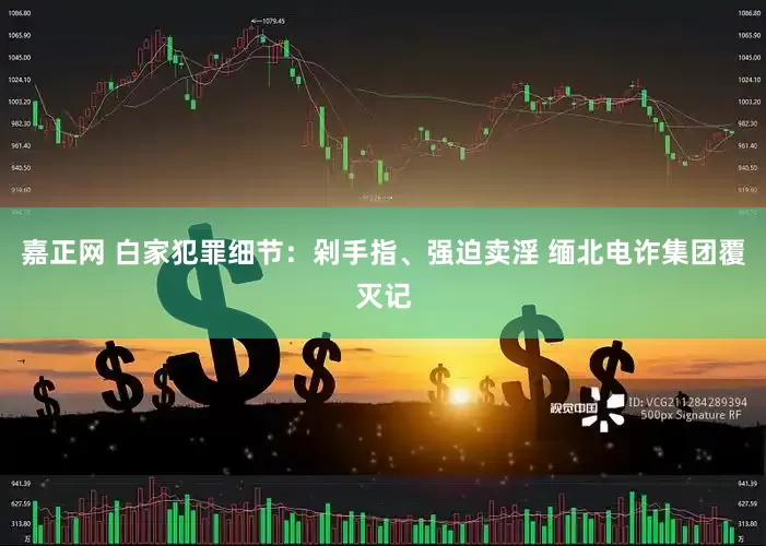 嘉正网 白家犯罪细节：剁手指、强迫卖淫 缅北电诈集团覆灭记