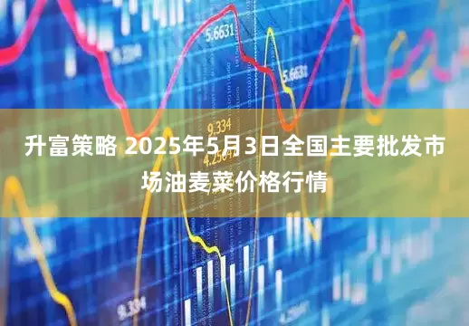 升富策略 2025年5月3日全国主要批发市场油麦菜价格行情