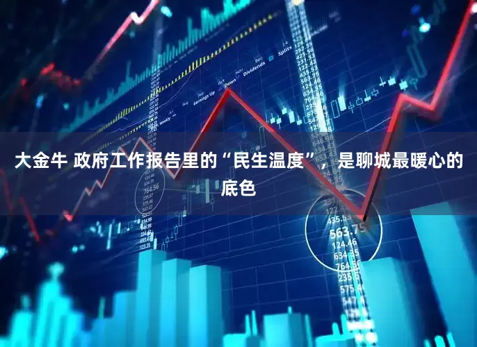 大金牛 政府工作报告里的“民生温度”，是聊城最暖心的底色