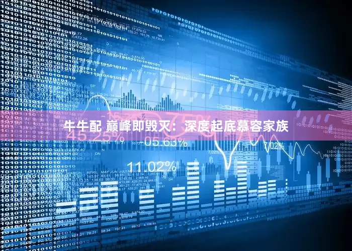 牛牛配 巅峰即毁灭：深度起底慕容家族