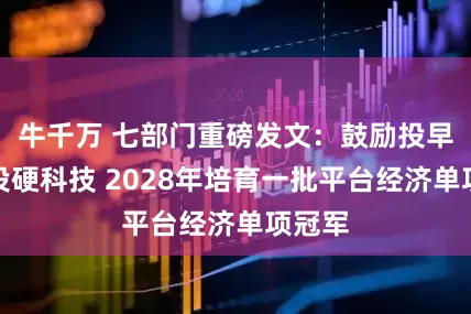 牛千万 七部门重磅发文：鼓励投早投小投硬科技 2028年培育一批平台经济单项冠军